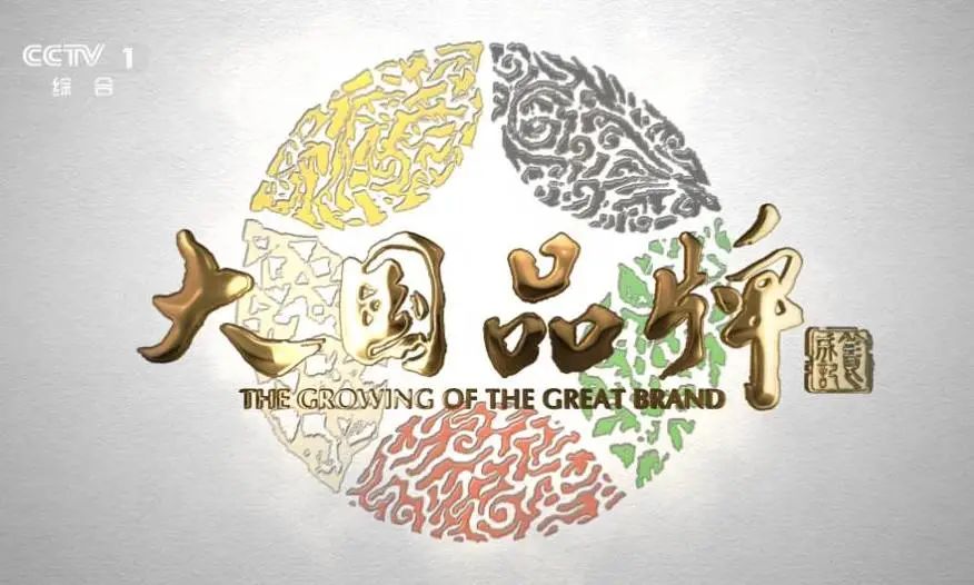 品牌的力量 | 順輝巖板牽手CCTV《大國(guó)品牌》_1